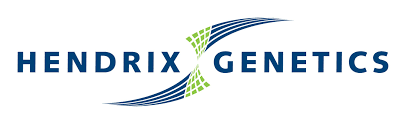 Hendrix Logo 1